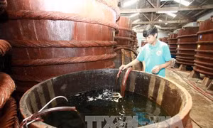 VINASTAS bảo vệ ai?