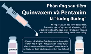Phản ứng sau tiêm vắc xin Quinvaxem và Pentaxim