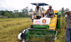 Máy gặt đập của nhà sáng chế “chân đất”