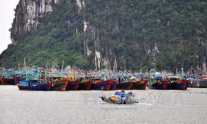 Ưu tiên trong ứng phó bão là an toàn tính mạng người dân