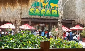 Không có chuyện hàng ngàn động vật chết tại Vinpearl Safari 