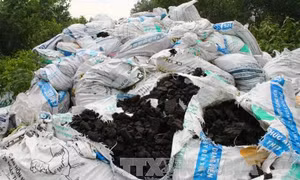 Phạt HTX Long Tân 370 triệu do đổ trộm bùn thải công nghiệp