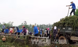 Phát động nhắn tin vì đồng bào vùng lũ miền Trung 