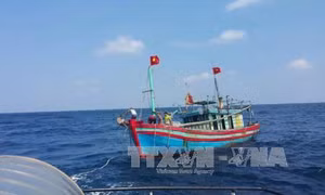 Lai dắt tàu bị nạn vào bờ an toàn 