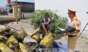 Chặn đứng 5 tấn mỡ bẩn trên đường tới Hà Nội 