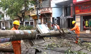 Nam Định chủ động hộ đê ứng phó bão số 2