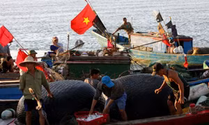 Đàm phán cấp chuyên viên Việt Nam - Indonesia về EEZ 