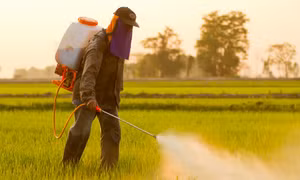 FAO và WHO kết luận Glyphosate không có nguy cơ gây ung thư
