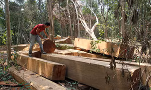 Một quyết định kịp thời
