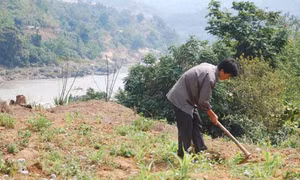 Hỗ trợ đất sản xuất để tạo kế sinh nhai cho đồng bào