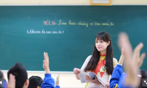 Cô giáo dạy văn của tôi