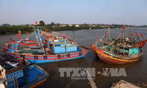 Thái Bình nghiêm cấm tàu, thuyền ra khơi 