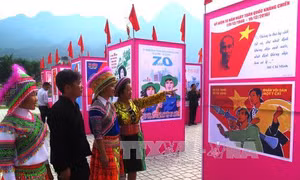  Phát động sáng tác tranh về Năm APEC Việt Nam 2017