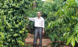 Người cựu chiến binh làm điểm tựa cho người nghèo 
