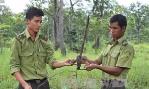Kiểm lâm Vườn QG Yok Đôn tháo dỡ bẫy thú rừng