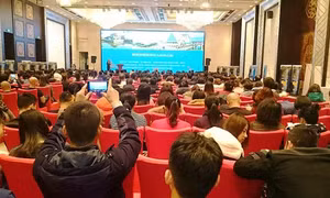 Vì sao khách Trung Quốc đến Việt Nam tăng?