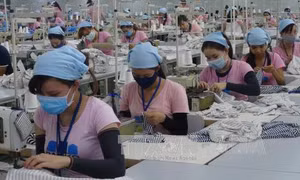 Hướng tới tạo dựng việc làm bền vững