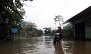 “Rốn lũ” Nghĩa Hành oằn mình chống lũ 