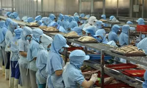 Sẽ hoàn thành mục tiêu xuất khẩu 2015