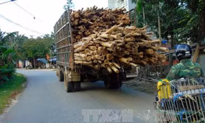 Giải quyết quá tải phải từ gốc 