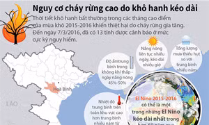 Nguy cơ cháy rừng cao do khô hanh kéo dài