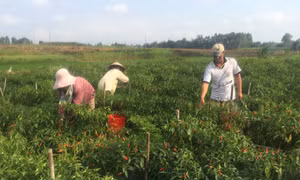 Diện mạo nông thôn vùng cách mạng KBang