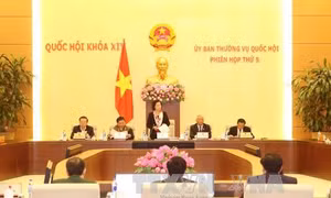 Lãng phí trong sử dụng vốn nước ngoài