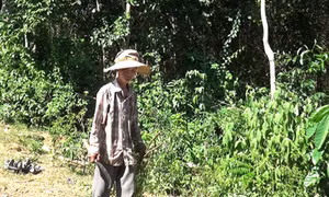 Vượt lên chính mình, sống có ích