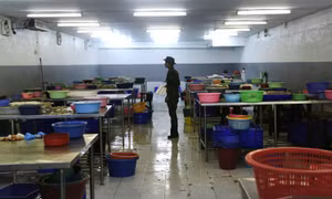 AP nhận giải thưởng danh giá nhất Pulitzer 2016