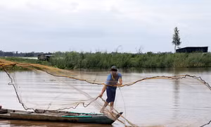Nặng gánh mưu sinh khi con nước không về