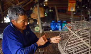 Mòn mỏi ngóng lũ miền Tây
