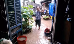An Giang: Mưa lớn, nhiều nhà dân chìm trong nước