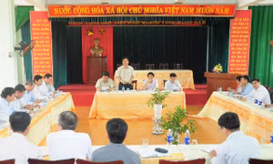 Nam Định tập trung khôi phục sản xuất sau bão số 1
