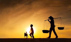 Vai mẹ gầy trong nắng 