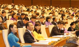 Trình nhân sự Chủ tịch Quốc hội, các Phó Chủ tịch Quốc hội