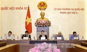 Cần bình đẳng, minh bạch trong đấu giá tài sản