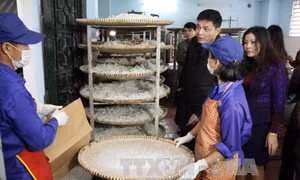 Hà Nội: Nguyên liệu làm mứt phơi "lộ thiên" gần nhà vệ sinh