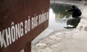Cấm nhưng không phạt