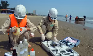 Nước biển Nghệ An đạt chuẩn quốc gia về chất lượng 
