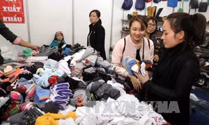 Hơn 5.000 dòng thuế về 0% khi FTA Việt Nam-EAEU có hiệu lực 