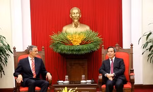 Trưởng Ban Kinh tế TW Nguyễn Văn Bình tiếp Đoàn chuyên gia IMF