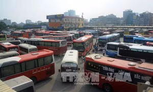 Tàu, xe sẵn sàng phục vụ Tết 