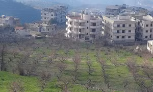 Quân đội Thổ Nhĩ Kỳ nã đạn vào lực lượng chính phủ Syria