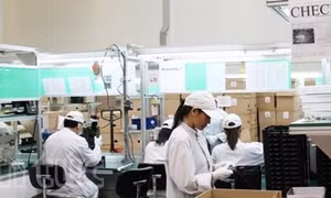 Công nhân Việt và nhà máy Séc vấp rào cản thị thực