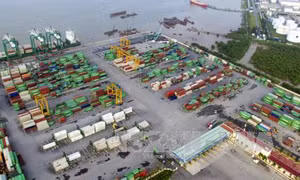 Làm rõ việc giữ lô hàng đông lạnh của Maersk Việt Nam