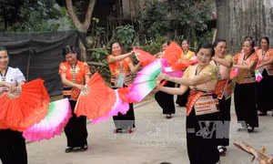 Vinh danh 78 công trình văn nghệ dân gian