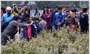 Không gian văn hóa dân tộc Mông Hà Giang tại Hà Nội