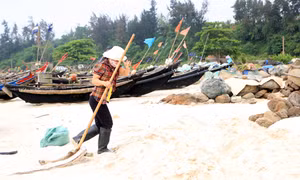 Đang khẩn trương tìm nguyên nhân cá chết