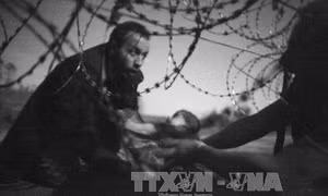 Sức mạnh của ảnh giành giải World Press Photo 2016 