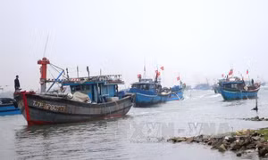 "Đội tàu 67" ra khơi bám ngư trường truyền thống Hoàng Sa, Trường Sa